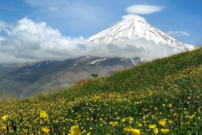 کوه ها
